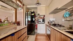 Hundred Palms Residences (D19), Condominium #551184141